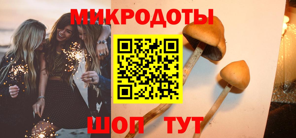 Галлюциногенные грибы прущие грибы Камышлов